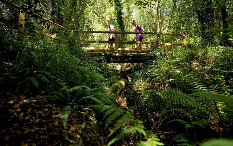 Glen of Aherlow, Woodlands Loop,  Trail, Co Tipperary. (Failte Ireland / Ireland's Content Pool)