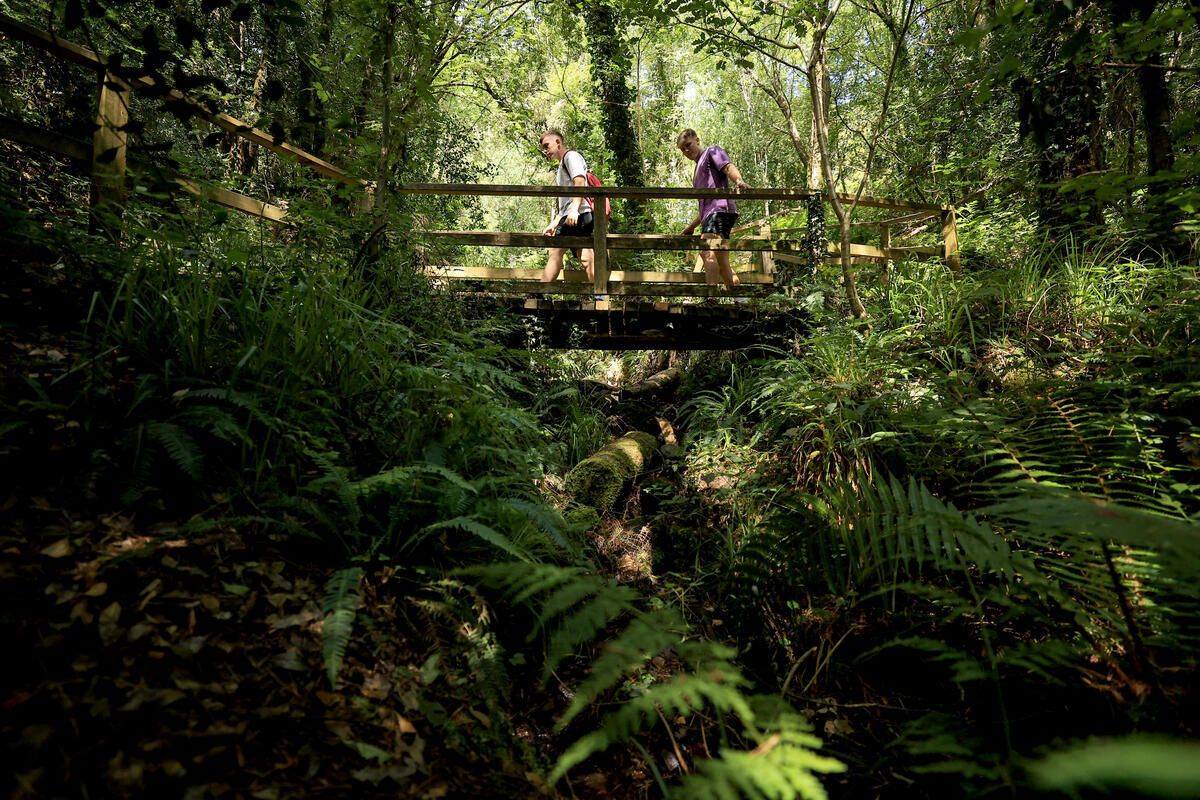 Glen of Aherlow, Woodlands Loop. Glen of Aherlow, Woodlands Loop.