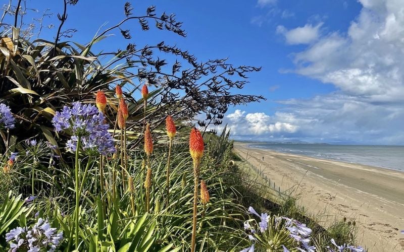 Mile of sandy beaches, at Bettystown. Mile of sandy beaches, at Bettystown.