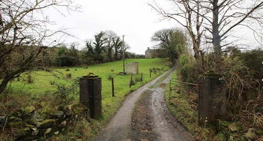 The driveway. Credit: Daft.ie