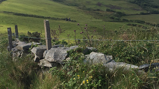 Stonewall on northwest side of Sheep’s Head Peninsula.