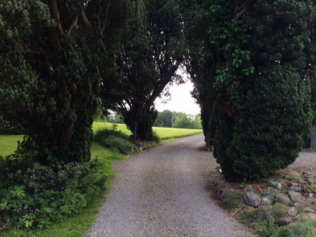 Driveway to Dardistown Castle.