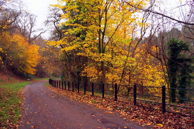 Phoenix Park (Getty Images)