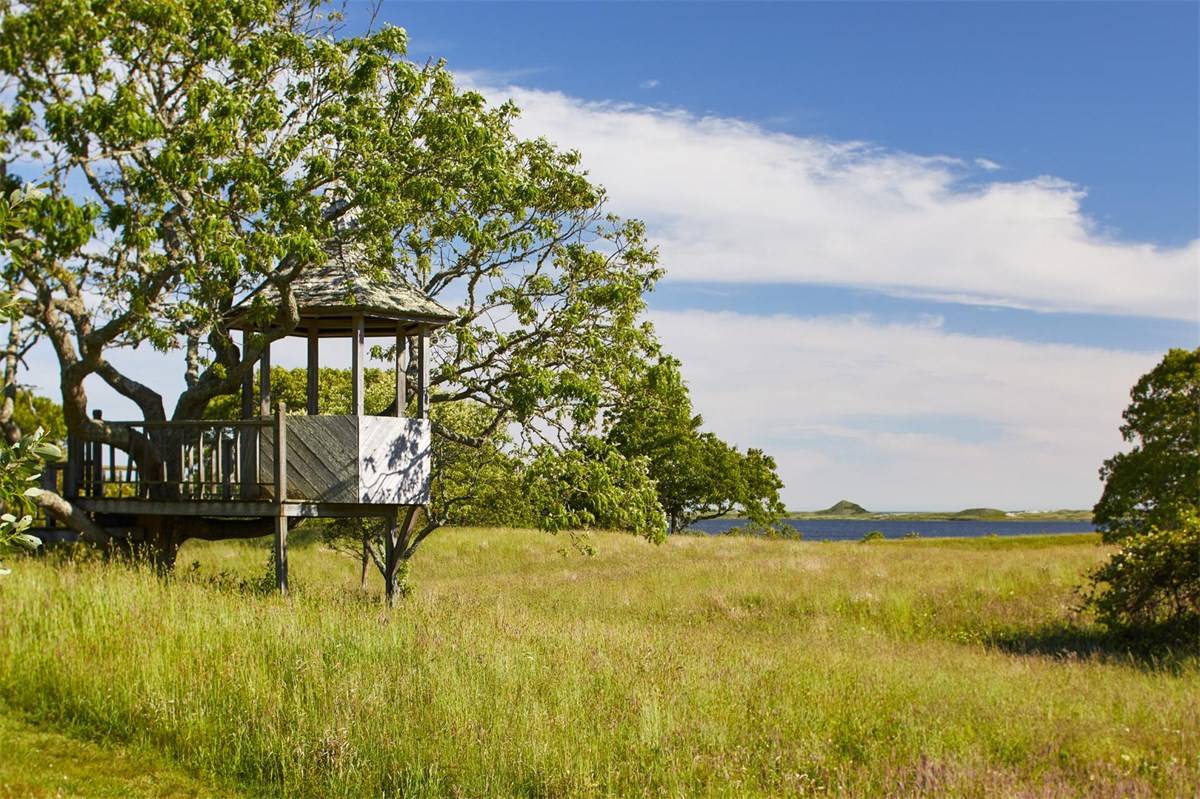 The tree house. Photo: Christie's International