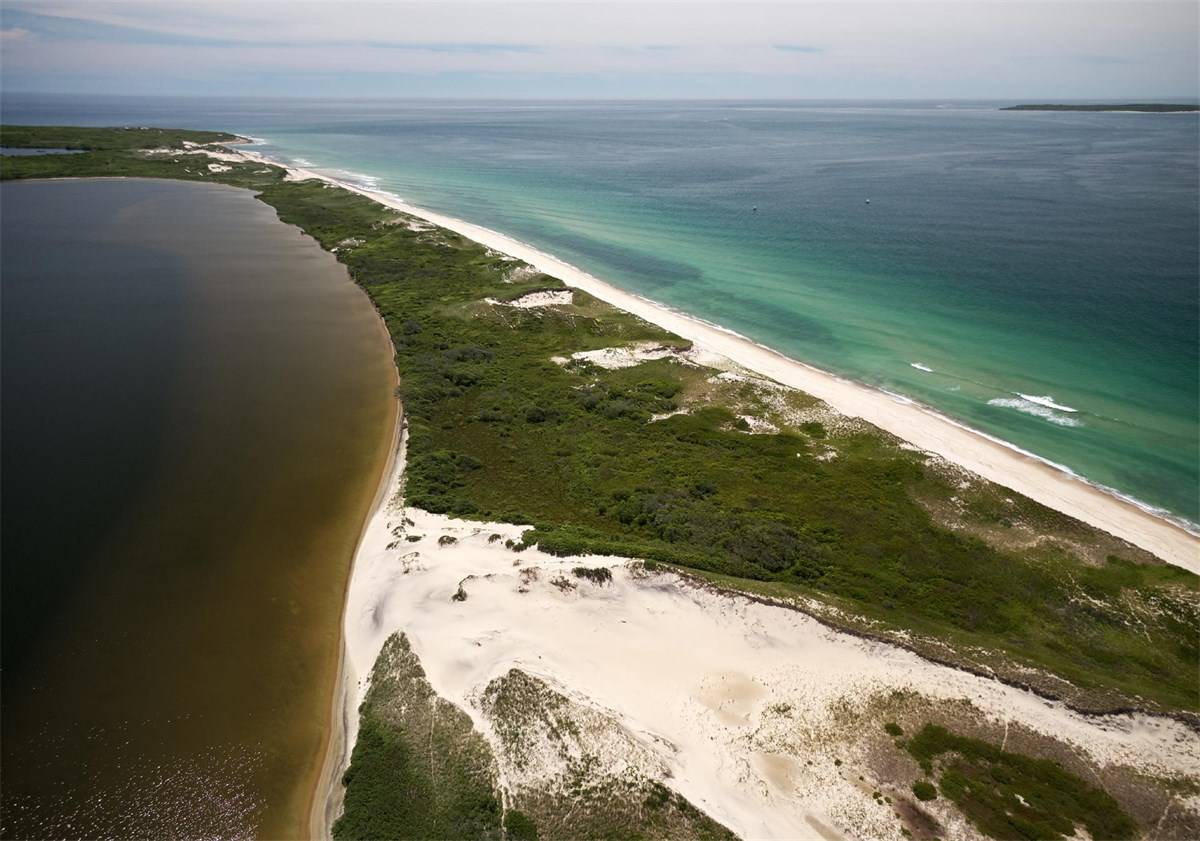 Red Gate's beachfront. Photo: Christie's International