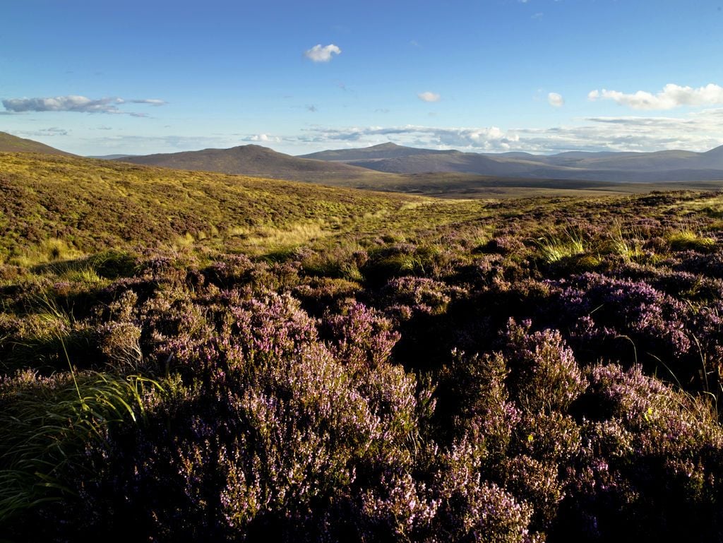 The Sally Gap in the Wicklow Mountains. Photo: Tourism Ireland