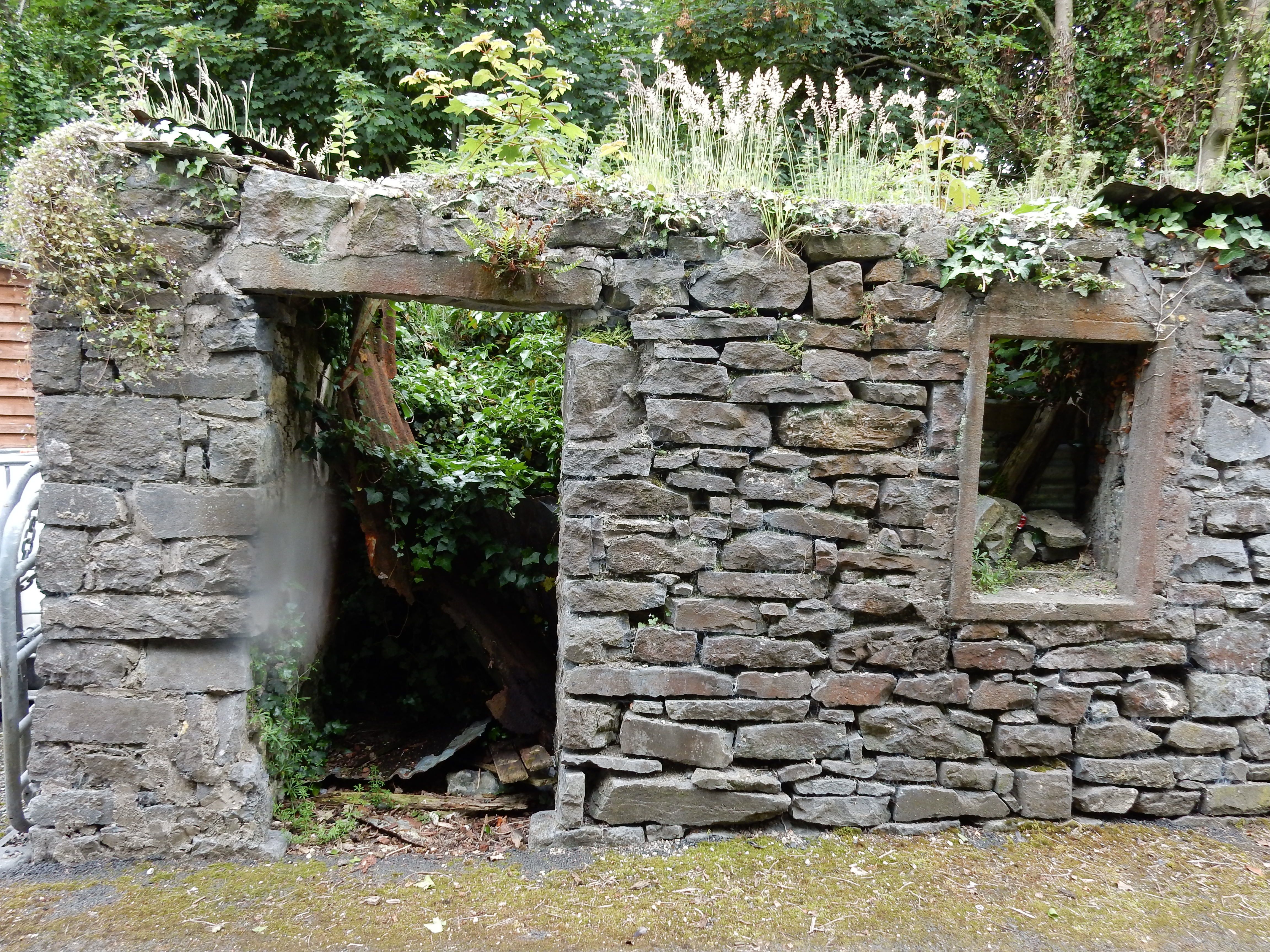 Ruins of a one room stone house on Pig Foot Lane in Templemore where Kate's great grandmother Mary Waters' family lived when she was baptized in 1831.