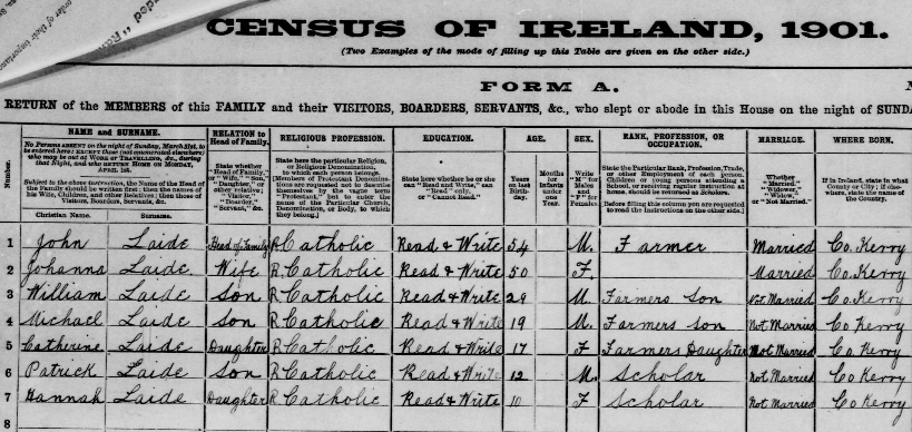 1901 Census showing John and Johanna Laide and their children living in Dromatoor Townland more than 50 years after Mike's great grandparents emigrated to the U.S.