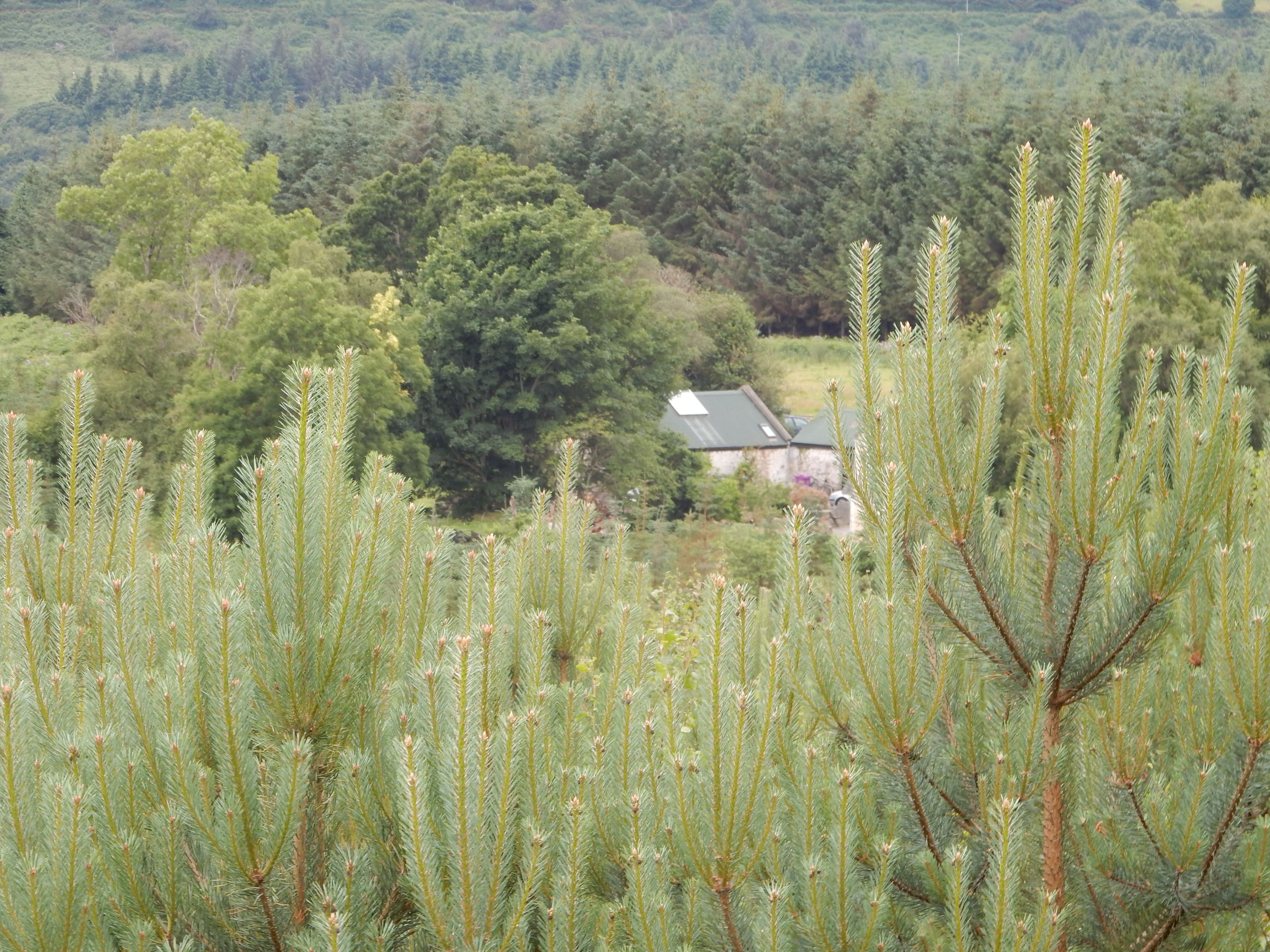 One of the McGuirk homesteads is still in use nearly 200 years later in this most scenic valley near Enniskerry in Co. Wicklow.