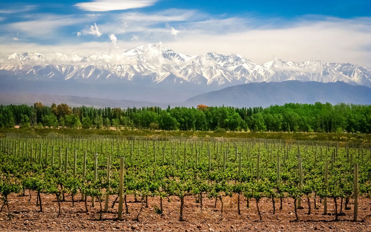How many Irish are in Argentina? Image: iStock.