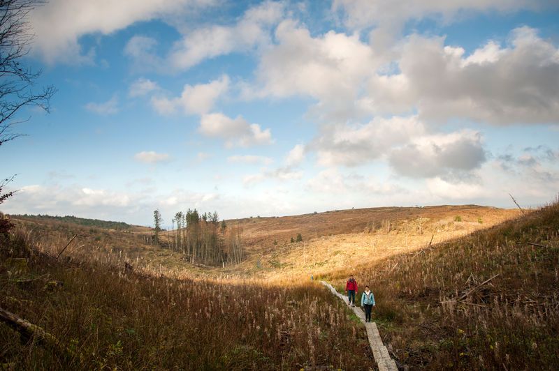 El Burren en Co Cavan (piscina de contenido de Irlanda)