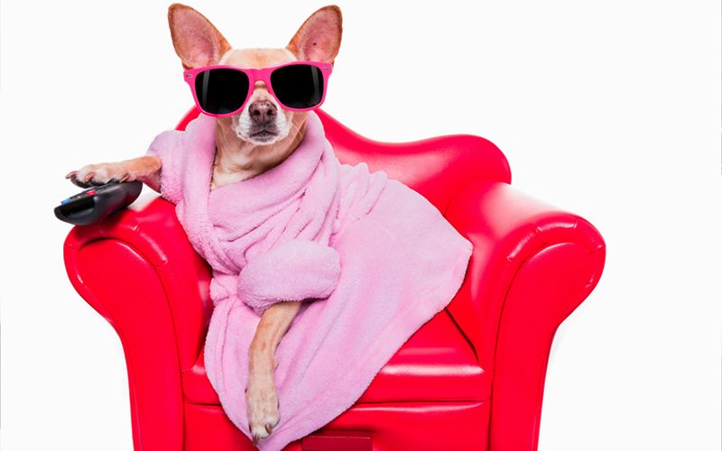 You're not thinking of changing the channel, are you?
