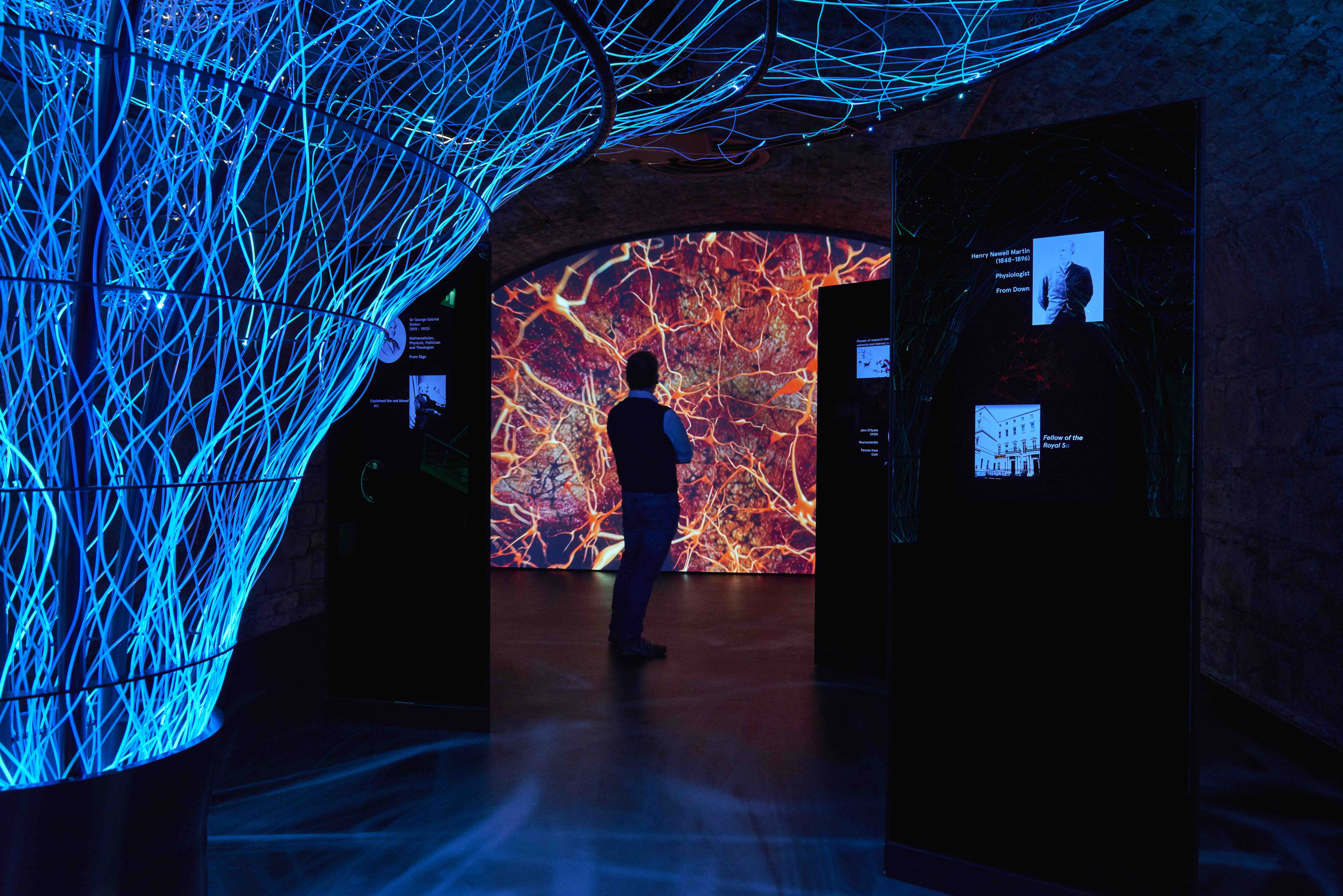 A visitor experiencing Ireland's EPIC Museum. Image: EPIC