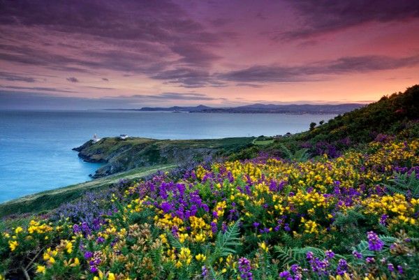 The cliff walk at Howth Head (Ireland's Content Pool)