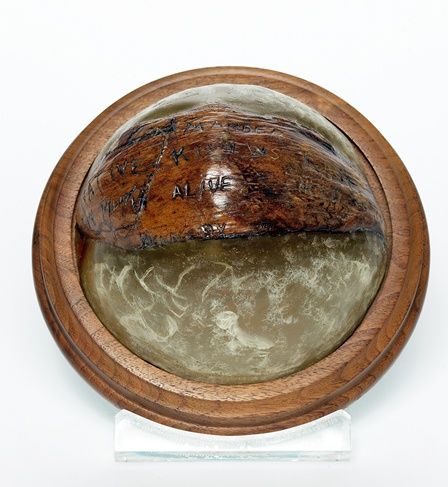 JFK's lifesaving coconut