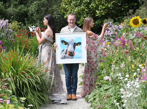 Teaming up with Ireland`s foremost Contemporary Artist Eoin O’Connor, Tipperary Crystal this August released this stunning collection featuring mugs, a teapot, biscuit plates and much more.