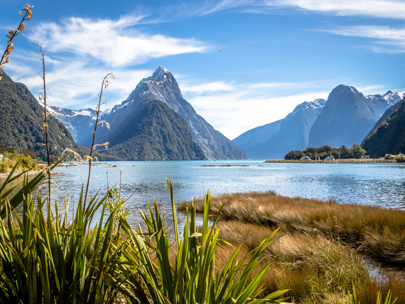 Milford Sound, New Zealand. Credit: iStock