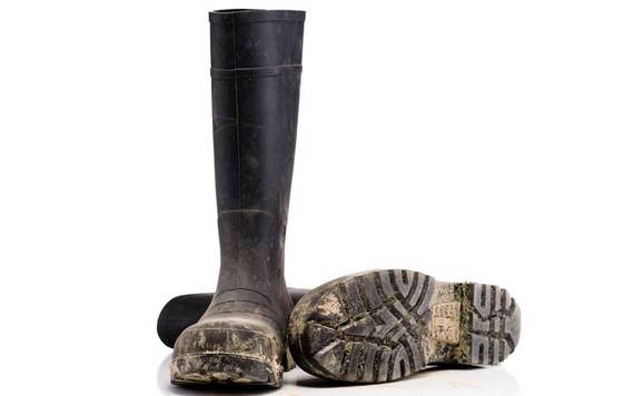 Muddy boots. Credit: iStock