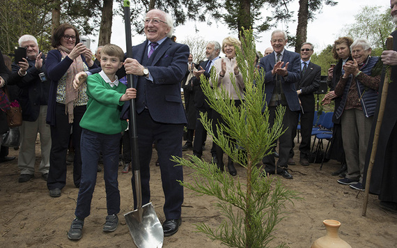 President Michael D. Higgins plants the redwoods