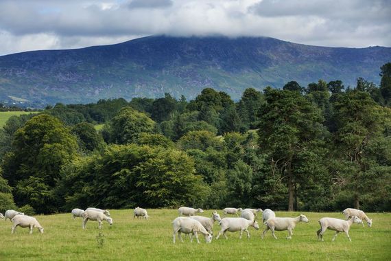 The Blackstairs Mountains, in County Carlow.