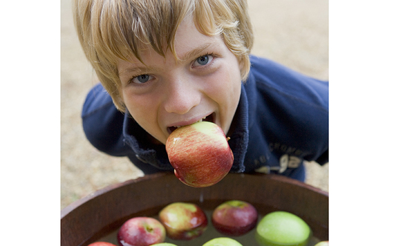 Bobbing for apples. Bobbing for apples.