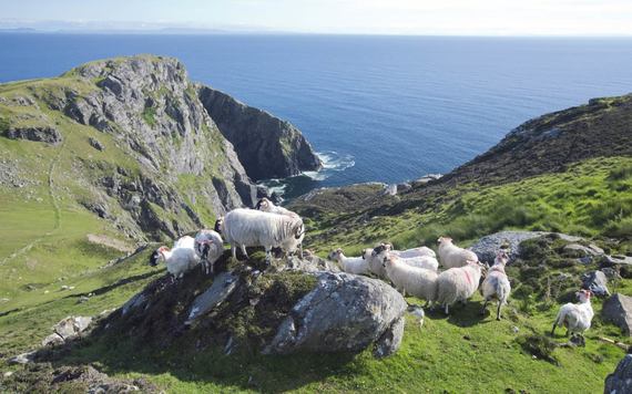 The tour begins in Dublin, with time to explore the city, and includes Donegal’s spectacular Slieve League cliffs.