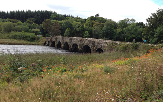 What could be more special but walking in the peaceful countryside in Mayo.