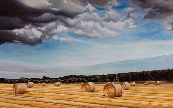 County Kildare, by Chara Nagle.