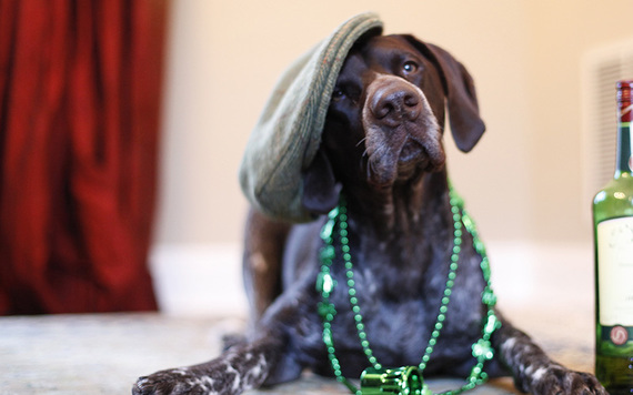 You don't need to be a leprechaun to be lucky