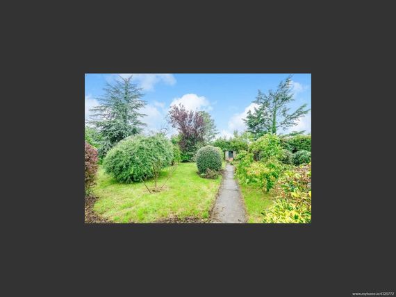 The back garden.