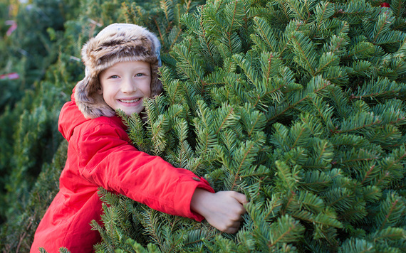 Choosing a tree in the past has been a family affair.