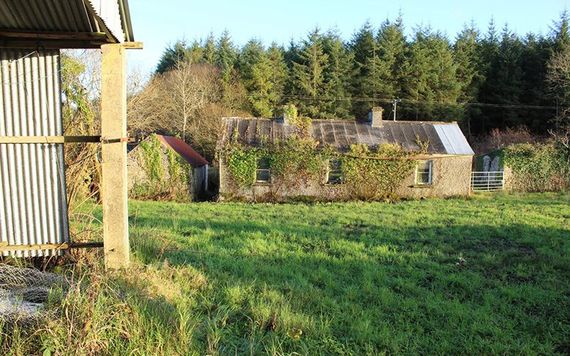 The Irish cottage from the property's land. Image: REA Brady.