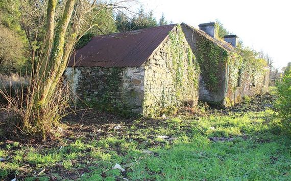 The additional outhouses of the Irish cottage up for sale. Image: REA Brady.