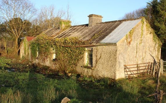 Derelict cottage for sale in Carrick on Shannon. Image: REA Brady.