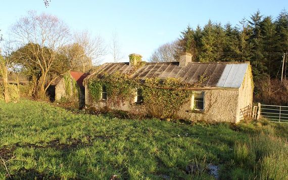 The bargin-priced cottage for sale in Ireland. Image: REA Brady.