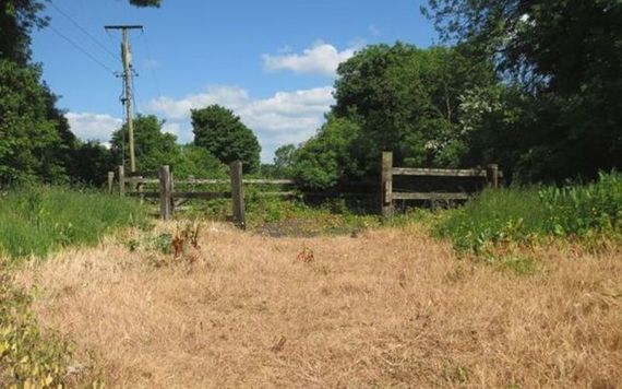 Out the land! 2.5 acres of paddocks.