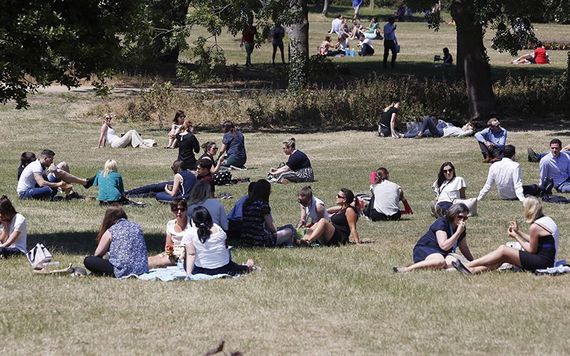 The yellowing grass on Merrion Square in Dublin city.