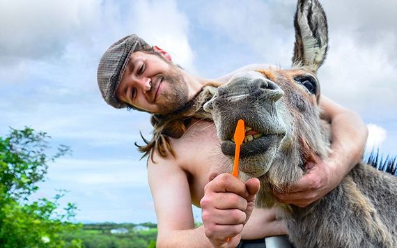 Irish Famer's Calendar 2019: Mister April.