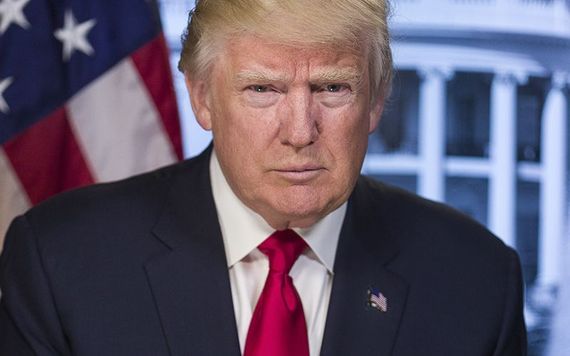 President Donald Trump's official White House portrait.