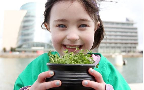 Happy St Patrick's Day. Image: RollingNews.ie.