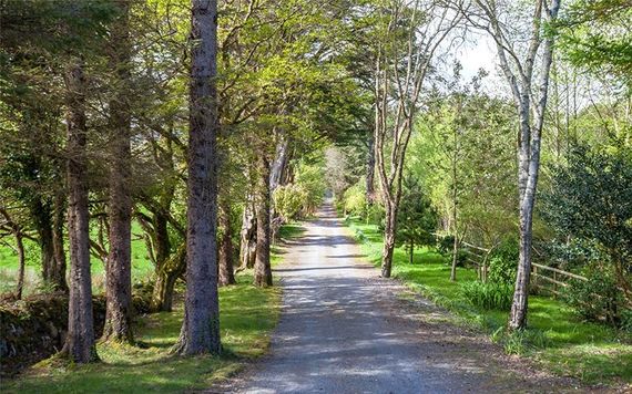 The driveway to the Otterbank house, outside Castletownbere. (Via: SherryFitz.ie)