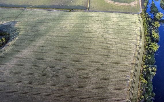 Murphy's photo of a henge from July 2018.