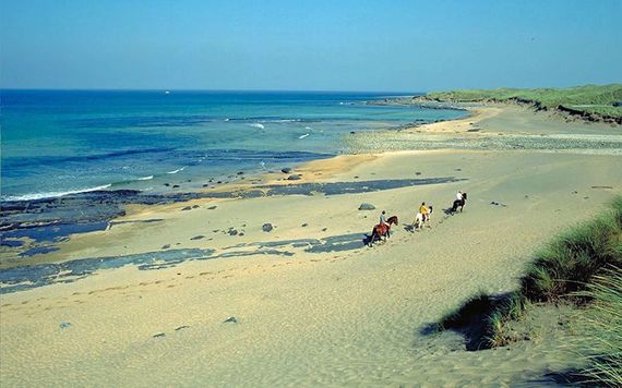 Horses on the beach at Doonbeg, County Clare. Horses on the beach at Doonbeg, County Clare.
