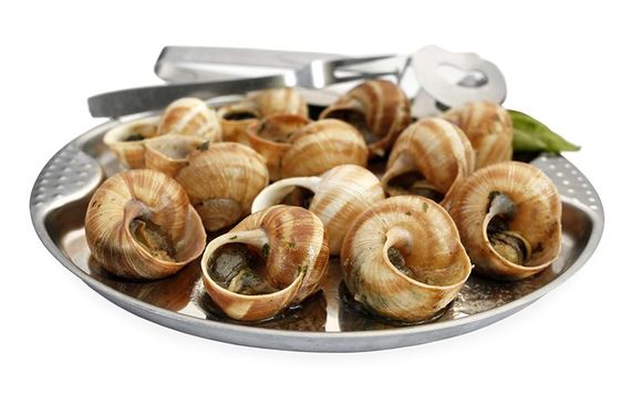 And lastly.... Snails!