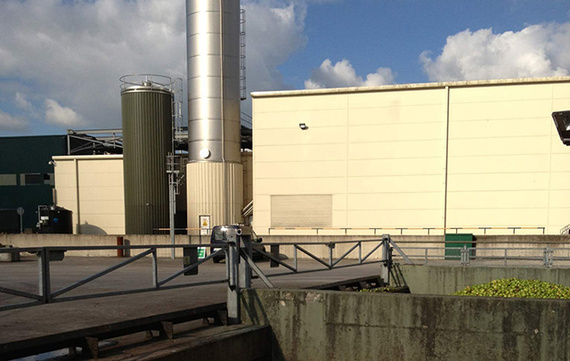 The Magners cidery