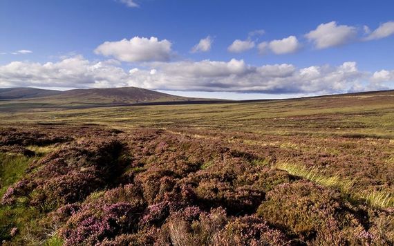 The Sally Gap.
