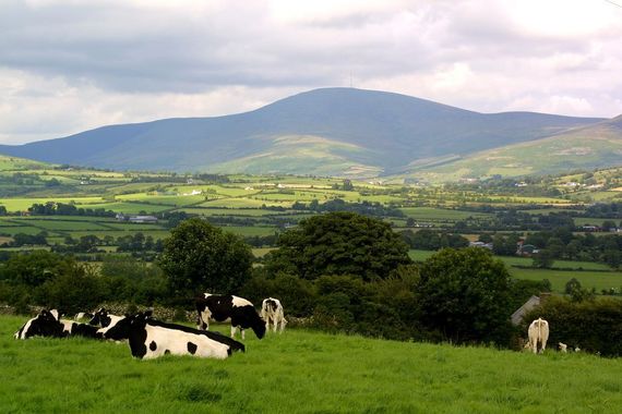 The Blackstairs Mountains, in County Carlow.
