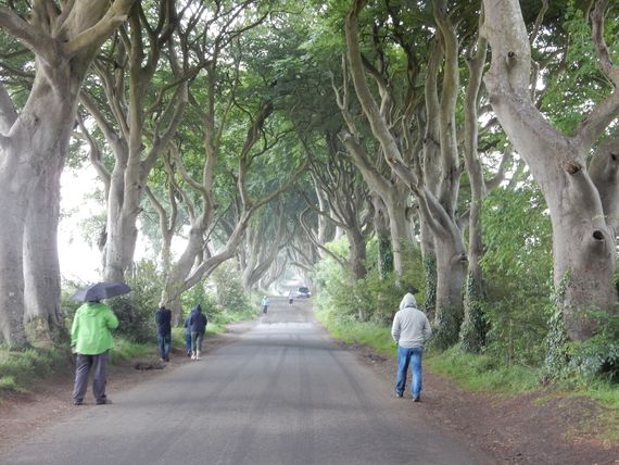 The Dark Hedges, filmed for a segment of the Game of Thrones, is only 30 minutes north of Quarrytown Lodge in Co. Antrim. And yes, it really looks like this!