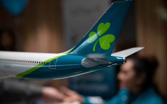 The new Aer Lingus shamrock. Image: Aer Lingus.
