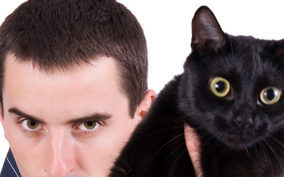 You have a cat?! You're not a dog person, no?
